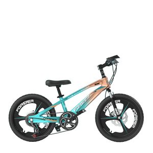 The two configurations of the 20-inch magnesium bike bicycle seven-speed integrated wheel and banner wheel are optional for factory wholesale.B0201